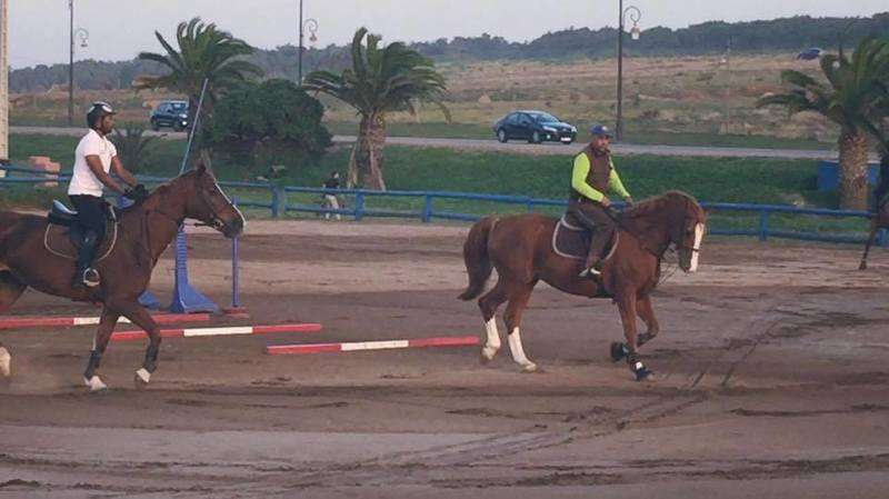 Club-equestre-oued-yquem-Skhirat